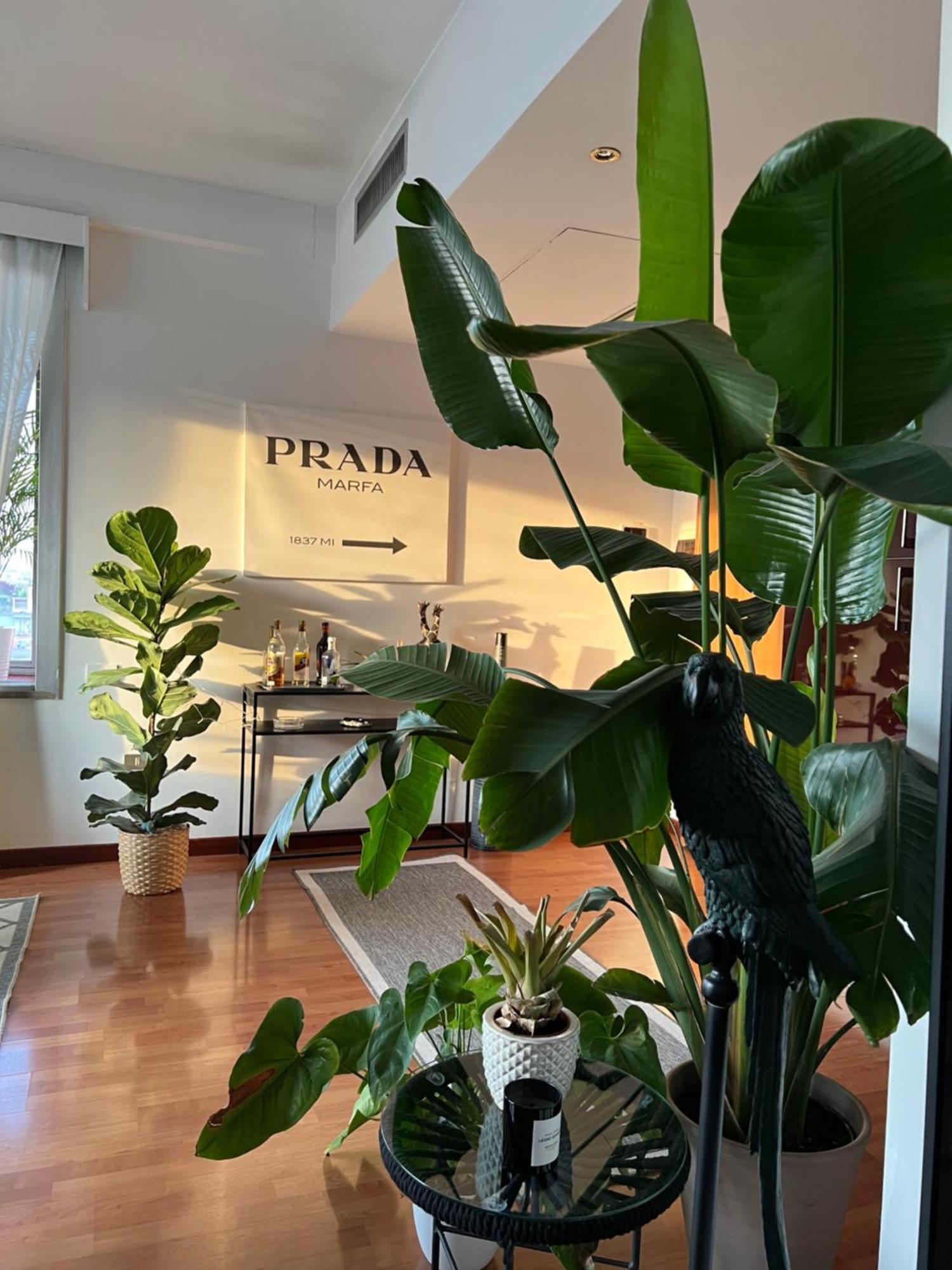 Apartamento Urban Jungle - Attico Vista Duomo Milán Exterior foto